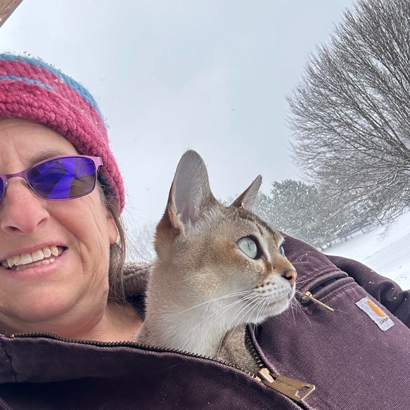 Meet your Posher, Elizabeth - Picture 1 of 7